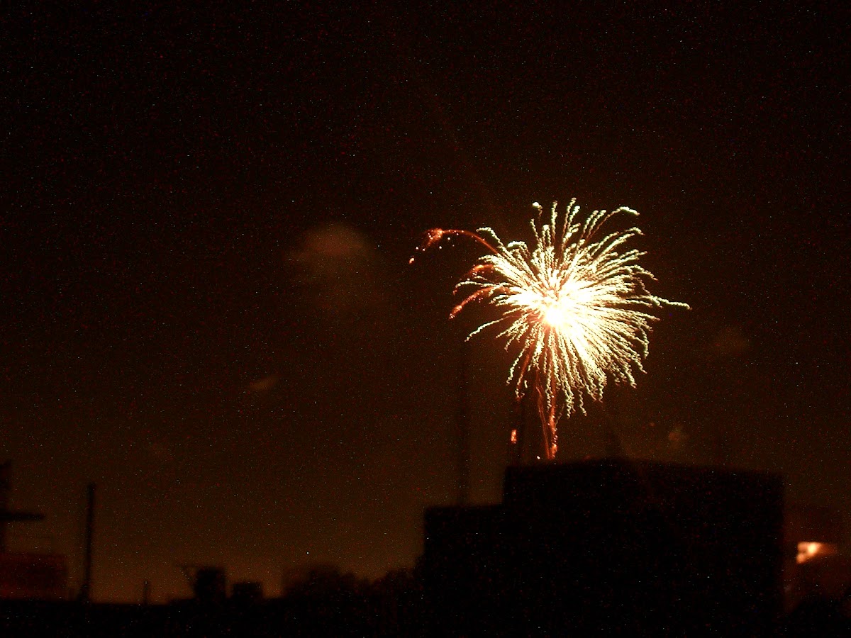 Vuurwerk boven de daken tijdens Diwali
