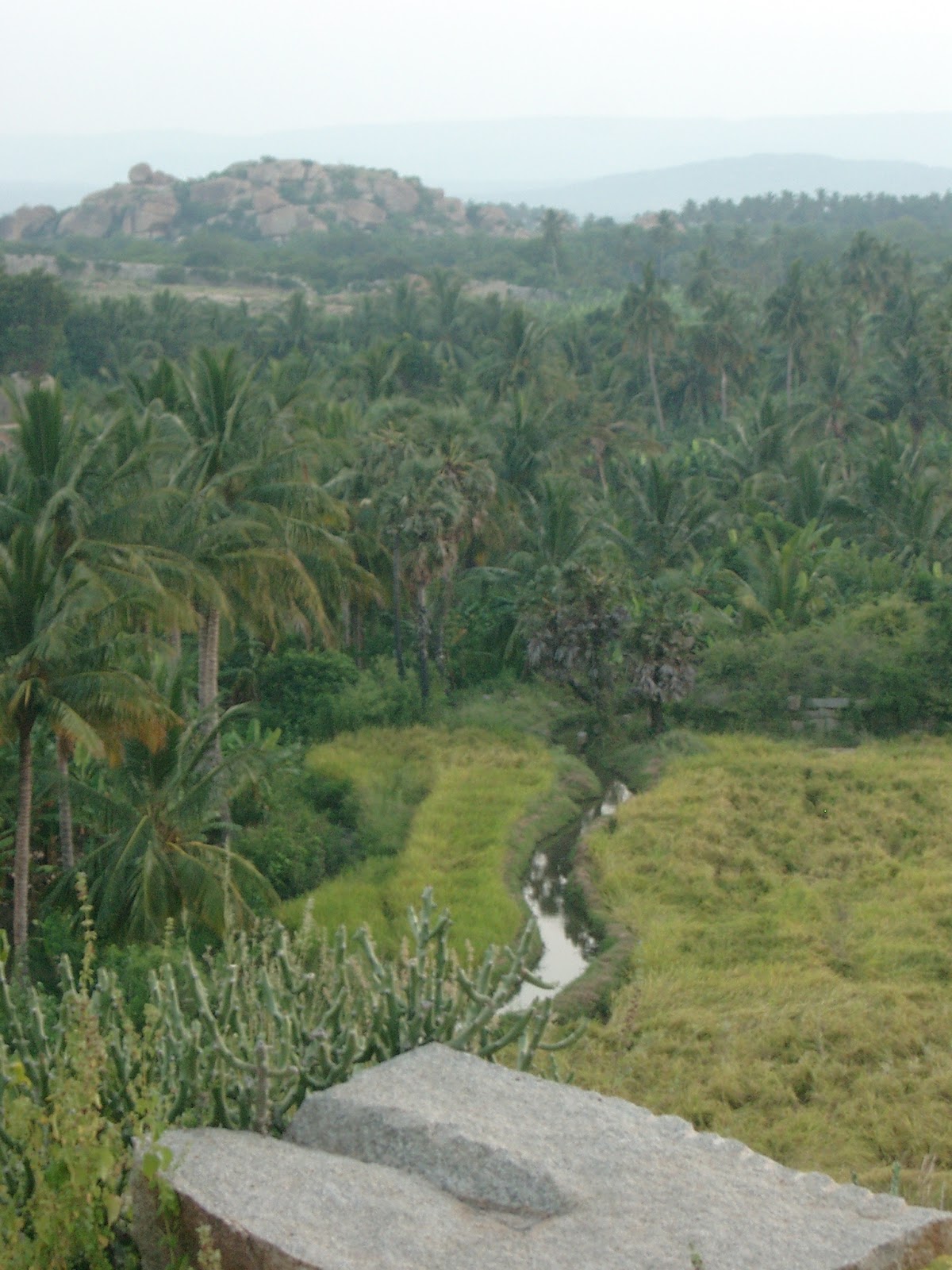 Rijstvelden, palmen en rotsheuvels rond Hampi
