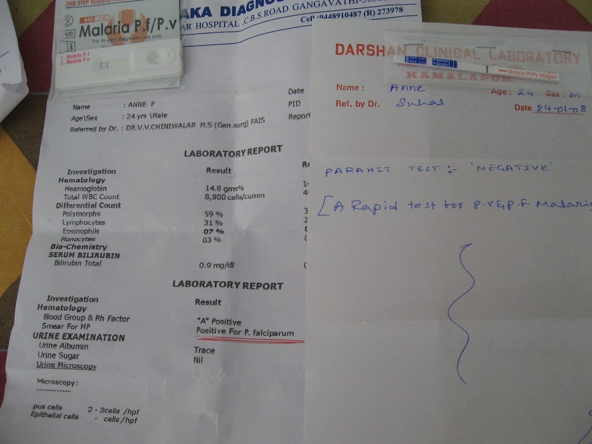 Het laboratoriumrapport: malaria, positive