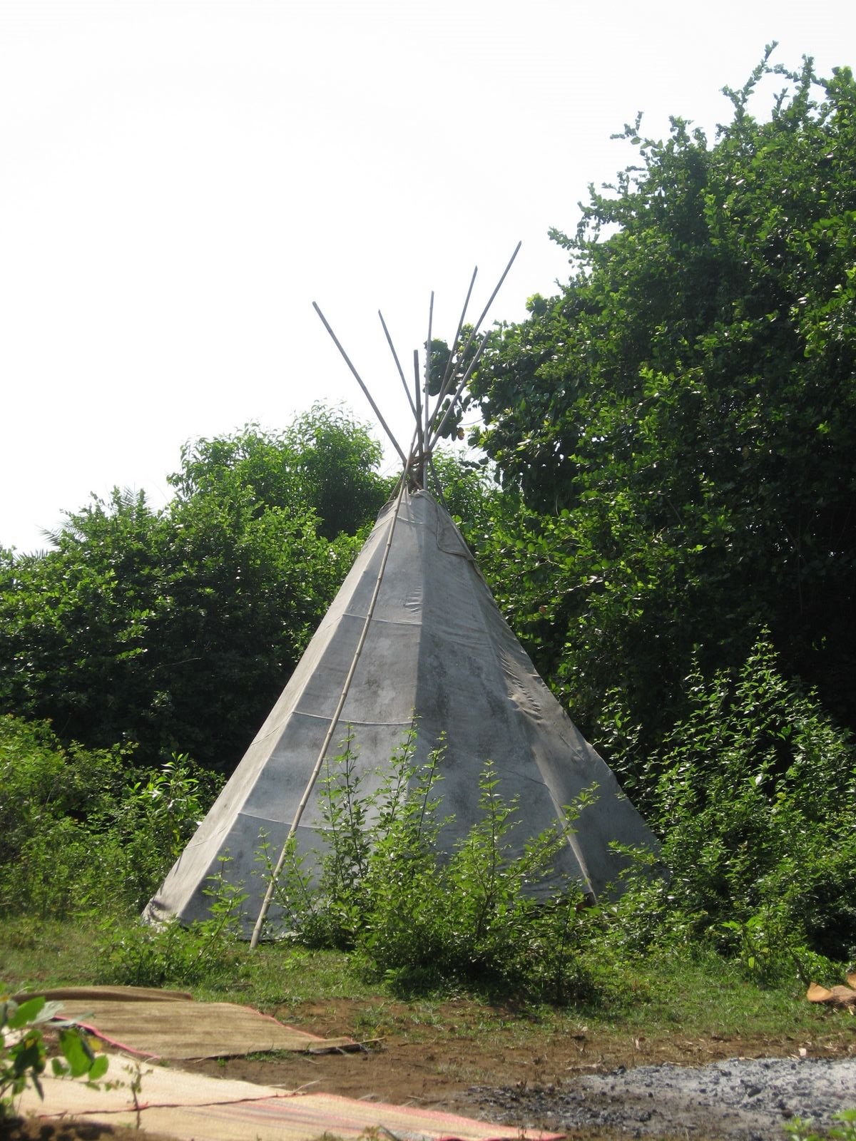M’n tipi in Goa